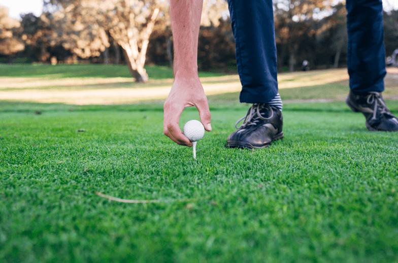Golf, our favorite game - Golf Course Prints